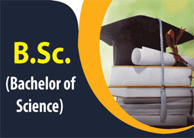 BSc Course